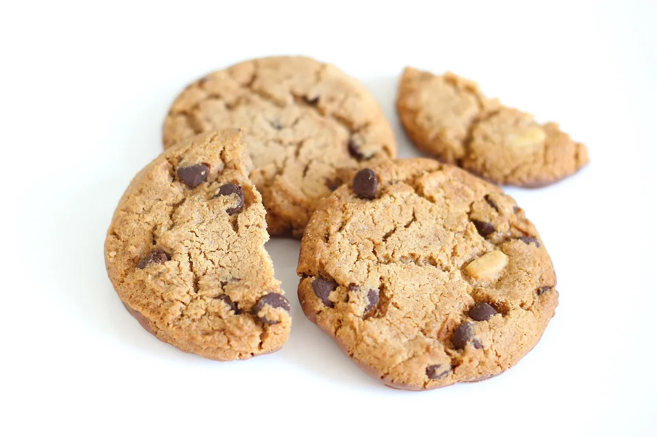 biscuit, cookie, chocolate-1832917.jpg
